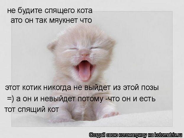 не будите спящего кота ато он так мяукнет что этот котик никогда не выйдет из этой позы =) а он и нев... Котоматрица: не будите спящего кота ато он так мяукнет что этот котик никогда не выйдет из этой позы =) а он и невыйдет потому -что он и есть тот спящий кот