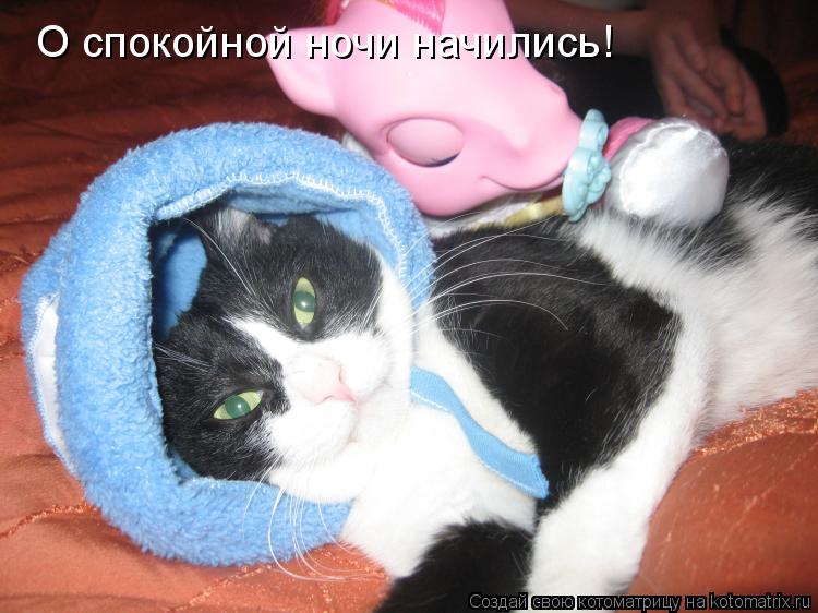 О спокойной ночи начились!... Котоматрица: О спокойной ночи начились!