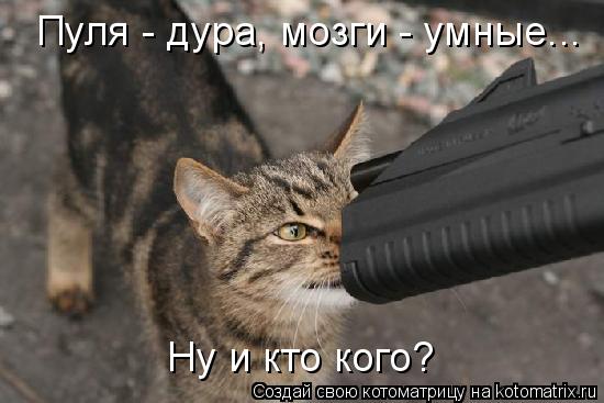 Котоматрица: Пуля - дура, мозги - умные...  Ну и кто кого?