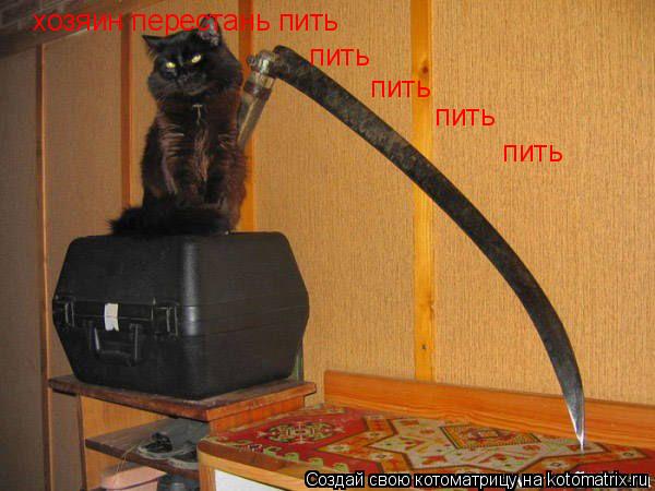 хозяин перестань пить пить пить пить пить... Котоматрица: хозяин перестань пить пить пить пить пить