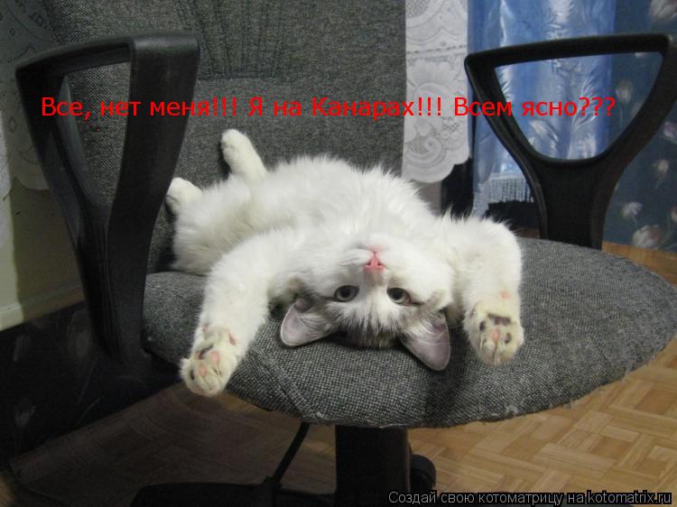 Все, нет меня!!! Я на Канарах!!! Всем ясно???... Котоматрица: Все, нет меня!!! Я на Канарах!!! Всем ясно???