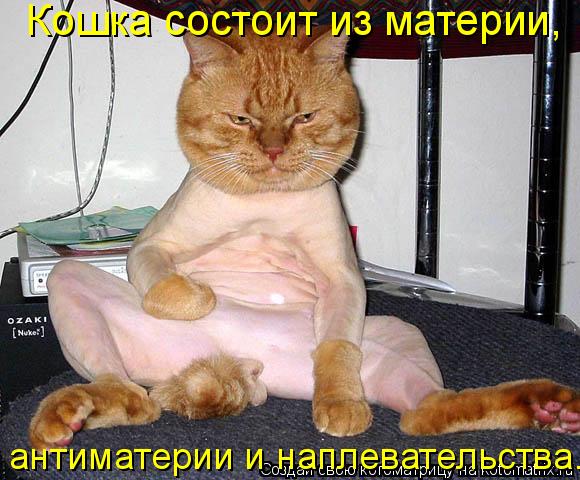 Кошка состоит из материи, антиматерии и наплевательства.... Котоматрица: Кошка состоит из материи, антиматерии и наплевательства.