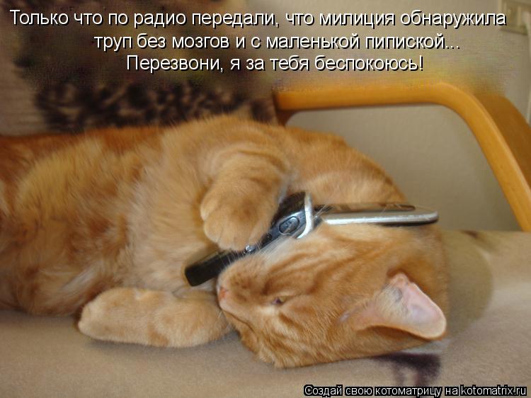 Только что по радио передали, что милиция обнаружила труп без мозгов и с маленькой пипиской... Перезв... Котоматрица: Только что по радио передали, что милиция обнаружила труп без мозгов и с маленькой пипиской... Перезвони, я за тебя беспокоюсь!
