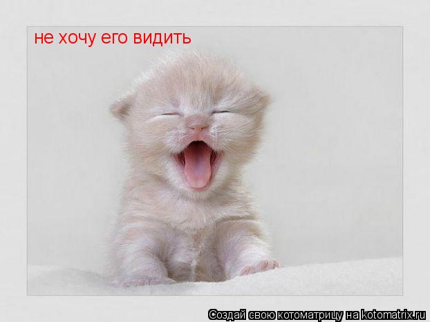 не хочу его видить... Котоматрица: не хочу его видить