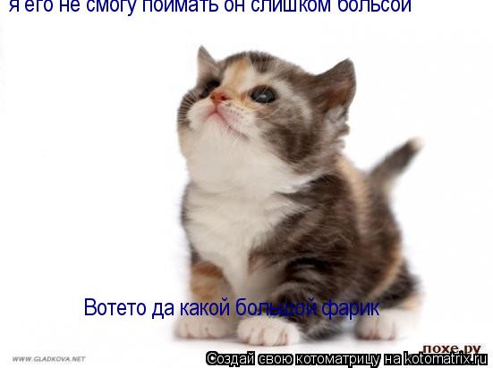 Котоматрица: Вотето да какой большой фарик я его не смогу поймать он слишком больсой