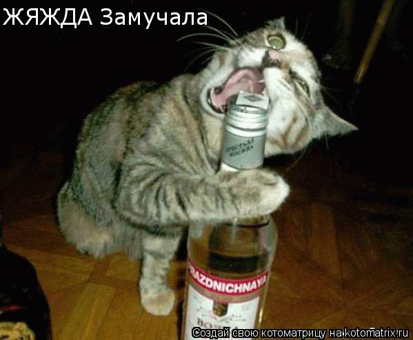 ЖЯЖДА Замучала... Котоматрица: ЖЯЖДА Замучала