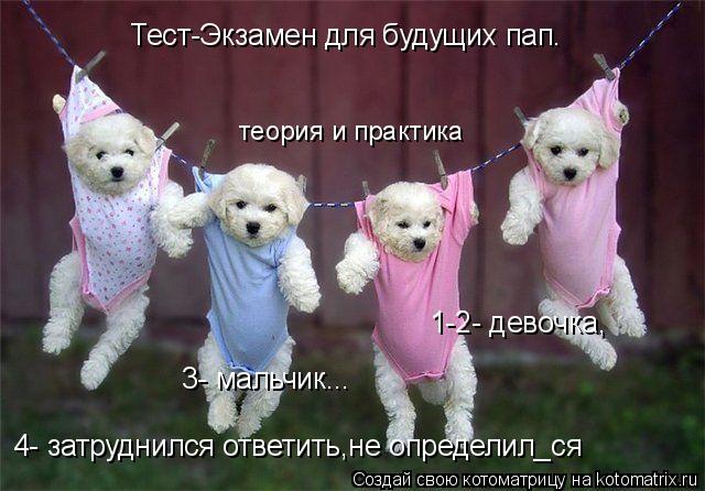 Котоматрица: теория и практика Тест-Экзамен для будущих пап. 1-2- девочка, 3- мальчик... 4- затруднился ответить,не определил_ся