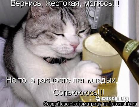 Вернись, жестокая, молюсь!!! Не то ,в расцвете лет младых, Сопьюююсь!!!... Котоматрица: Вернись, жестокая, молюсь!!! Не то ,в расцвете лет младых, Сопьюююсь!!!