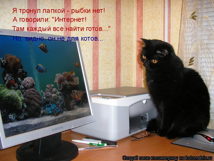 Котоматрица: А говорили: "Интернет! Но, видно, он не для котов... Там каждый все найти готов..." Я тронул лапкой - рыбки нет!