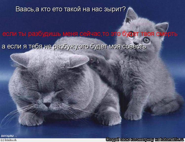 Ваась,а кто ето такой на нас зырит? если ты разбудишь меня сейчас,то это будет твоя смерть а если я т... Котоматрица: Ваась,а кто ето такой на нас зырит? если ты разбудишь меня сейчас,то это будет твоя смерть а если я тебя не разбужу,это будет моя совесть