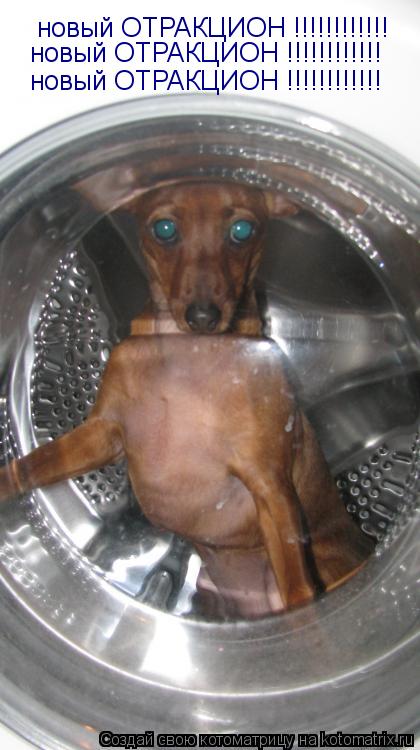 новый ОТРАКЦИОН !!!!!!!!!!!! новый ОТРАКЦИОН !!!!!!!!!!!! новый ОТРАКЦИОН !!!!!!!!!!!!... Котоматрица: новый ОТРАКЦИОН !!!!!!!!!!!! новый ОТРАКЦИОН !!!!!!!!!!!! новый ОТРАКЦИОН !!!!!!!!!!!!