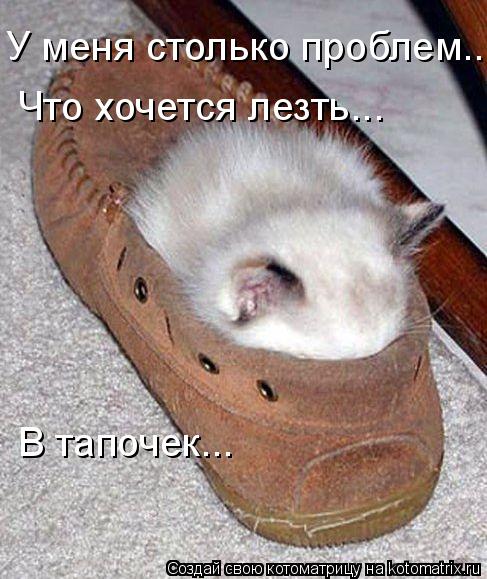 У меня столько проблем... Что хочется лезть... В тапочек...... Котоматрица: У меня столько проблем... Что хочется лезть... В тапочек...