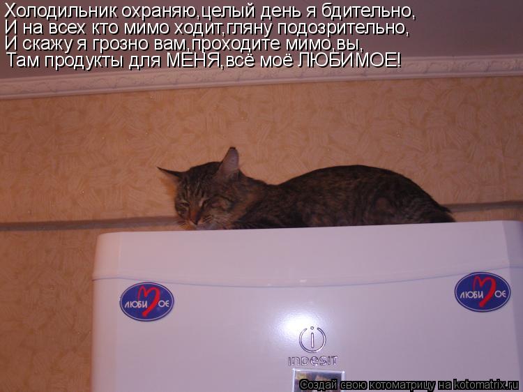 Холодильник охраняю,целый день я бдительно, И на всех кто мимо ходит,гляну подозрительно, И скажу я г... Котоматрица: Холодильник охраняю,целый день я бдительно, И на всех кто мимо ходит,гляну подозрительно, И скажу я грозно вам,проходите мимо,вы, Там продук