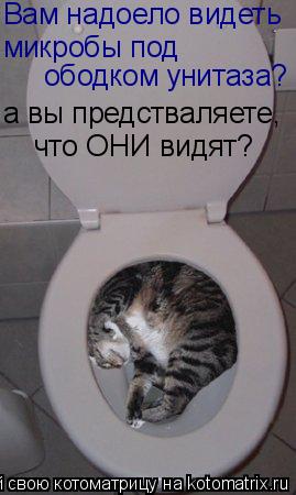Вам надоело видеть микробы под ободком унитаза? а вы предстваляете, что ОНИ видят?... Котоматрица: Вам надоело видеть микробы под ободком унитаза? а вы предстваляете, что ОНИ видят?