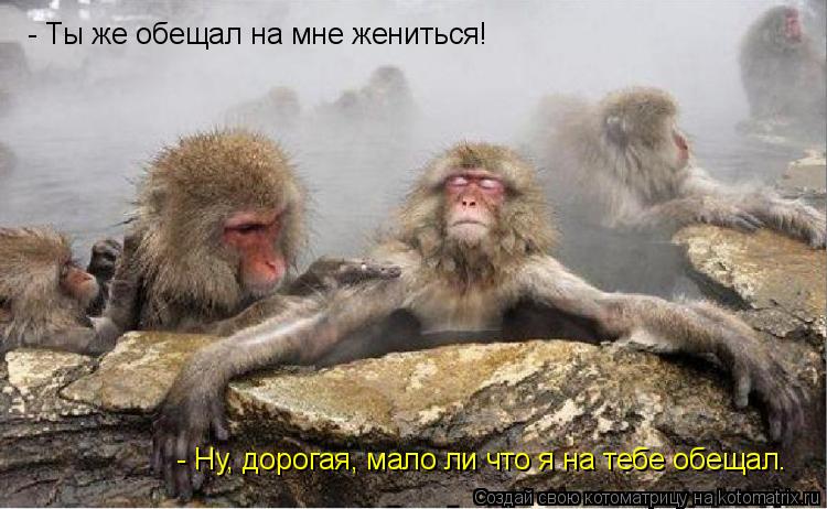 Котоматрица: - Ты же обещал на мне жениться!    - Ну, дорогая, мало ли что я на тебе обещал…