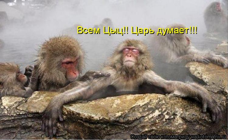 Всем Цыц!! Царь думает!!!... Котоматрица: Всем Цыц!! Царь думает!!!