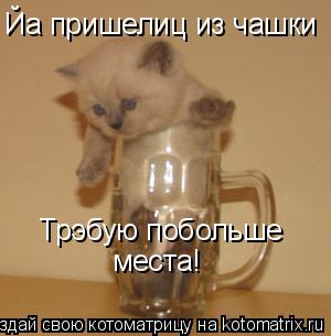 Йа пришелиц из чашки Трэбую побольше места!... Котоматрица: Йа пришелиц из чашки Трэбую побольше места!