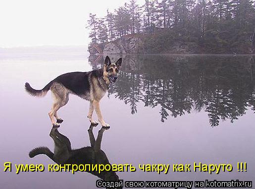 Я умею контролировать чакру как Наруто !!!... Котоматрица: Я умею контролировать чакру как Наруто !!!