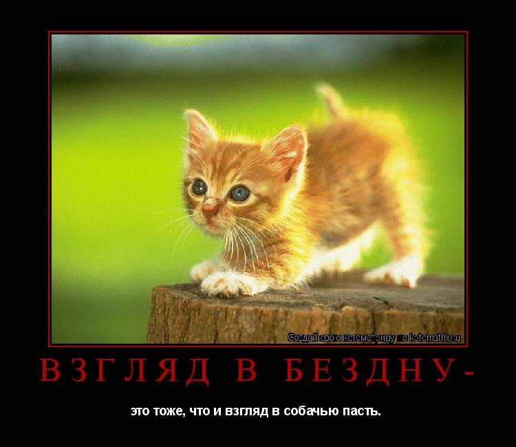 Взгляд в бездну- это тоже, что и взгляд в собачью пасть. ... Котоматрица: Взгляд в бездну- это тоже, что и взгляд в собачью пасть.