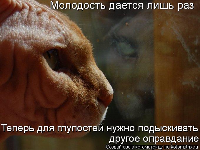 Котоматрица: Молодость дается лишь раз Теперь для глупостей нужно подыскивать другое оправдание