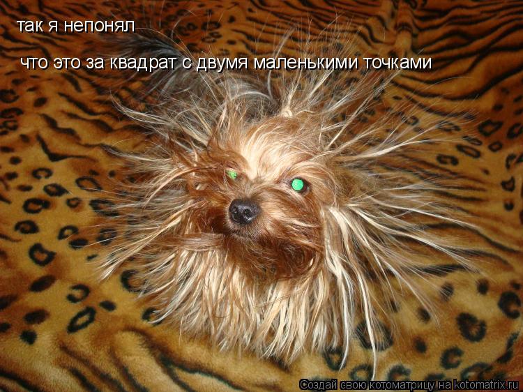 так я непонял что это за квадрат с двумя маленькими точками... Котоматрица: так я непонял что это за квадрат с двумя маленькими точками