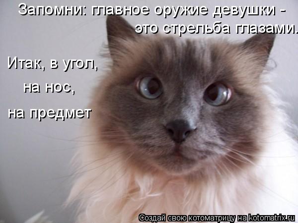 Котоматрица: Запомни: главное оружие девушки -  это стрельба глазами. Итак, в угол,  на нос,  на предмет