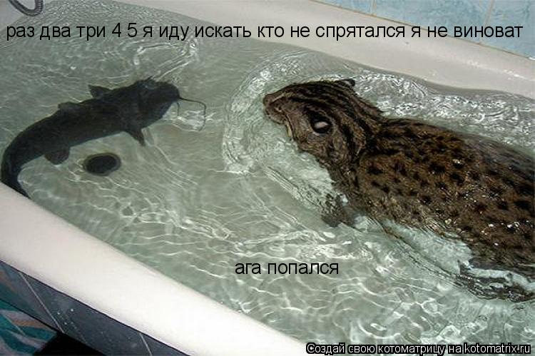 раз два три 4 5 я иду искать кто не спрятался я не виноват ага попался... Котоматрица: раз два три 4 5 я иду искать кто не спрятался я не виноват ага попался