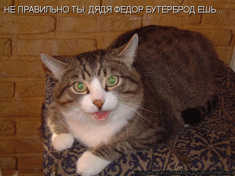 НЕ ПРАВИЛЬНО ТЫ, ДЯДЯ ФЕДОР БУТЕРБРОД ЕШЬ...... Котоматрица: НЕ ПРАВИЛЬНО ТЫ, ДЯДЯ ФЕДОР БУТЕРБРОД ЕШЬ...
