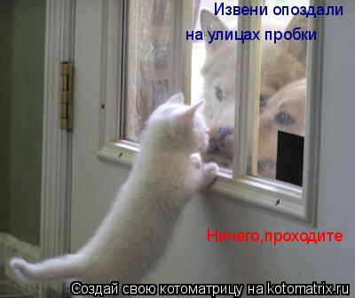Котоматрица: Извени опоздали на улицах пробки Ничего,проходите
