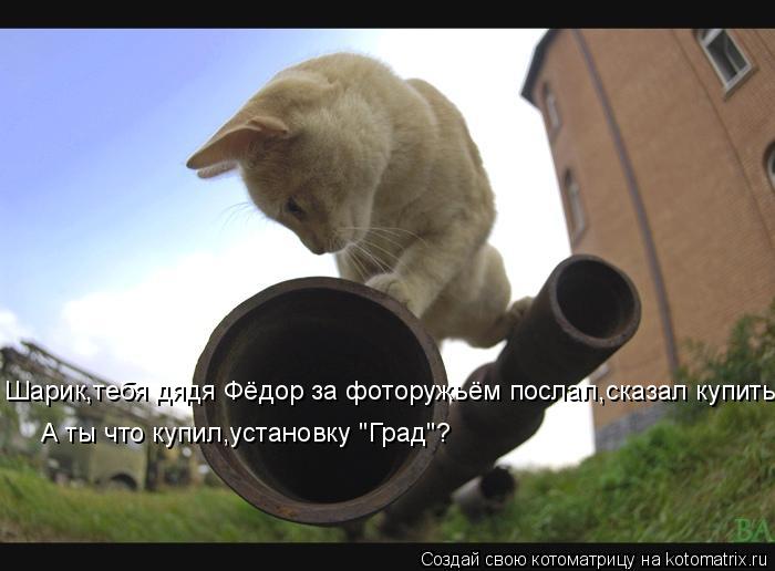 Шарик,тебя дядя Фёдор за фоторужьём послал,сказал купить, А ты что купил,установку "Град"?... Котоматрица: Шарик,тебя дядя Фёдор за фоторужьём послал,сказал купить, А ты что купил,установку "Град"?