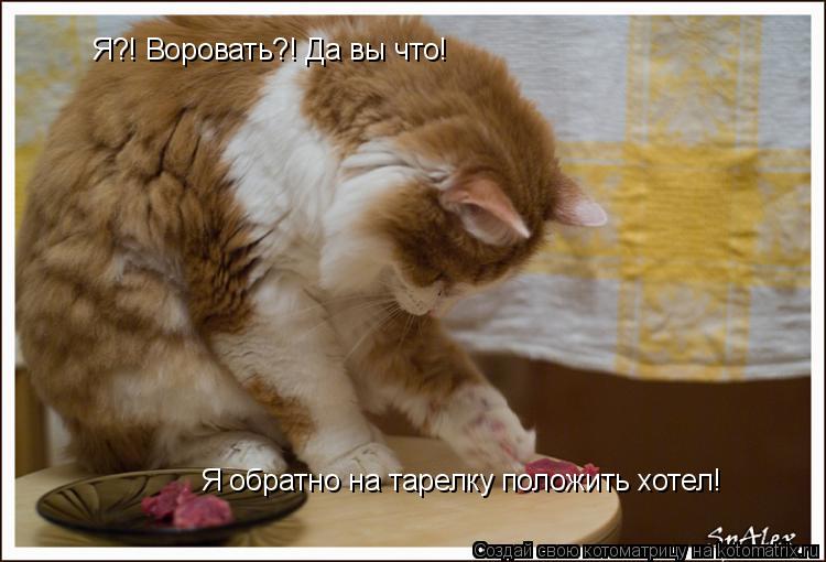 http://kotomatrix.ru/images/lolz/2009/05/17/6B.jpg