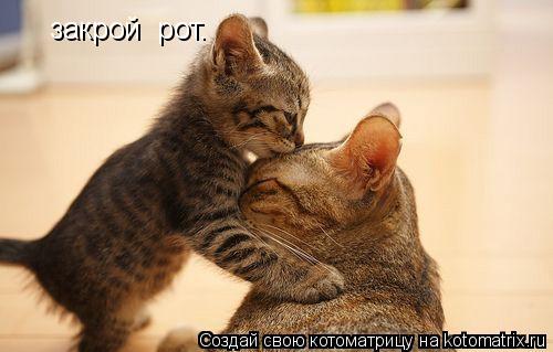 закрой рот.... Котоматрица: закрой рот.