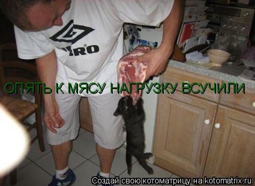 ОПЯТЬ К МЯСУ НАГРУЗКУ ВСУЧИЛИ... Котоматрица: ОПЯТЬ К МЯСУ НАГРУЗКУ ВСУЧИЛИ