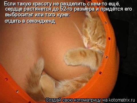 Если такую красоту не разделить с кем-то ещё, сердце растянется до 52-го размера и придётся его выбро... Котоматрица: Если такую красоту не разделить с кем-то ещё, сердце растянется до 52-го размера и придётся его выброситьт или того хуже: отдать в секондхенд