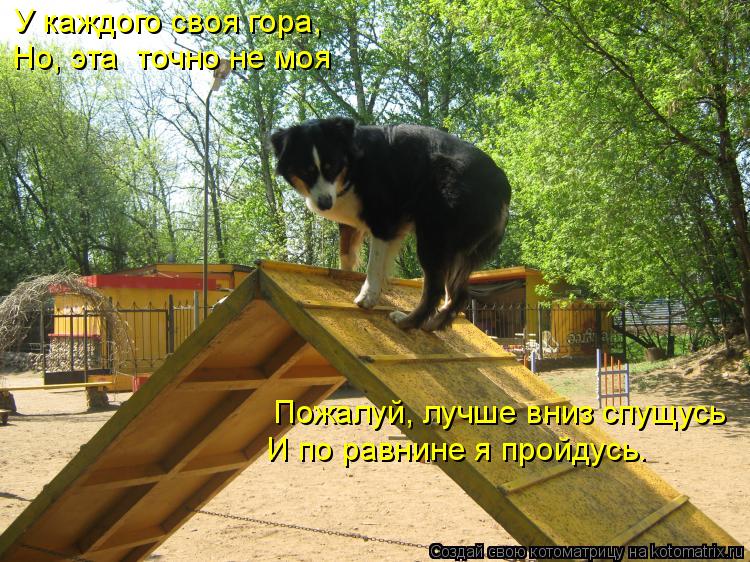 У каждого своя гора, Пожалуй, лучше вниз спущусь И по равнине я пройдусь. Но, эта точно не моя... Котоматрица: У каждого своя гора, Пожалуй, лучше вниз спущусь И по равнине я пройдусь. Но, эта точно не моя