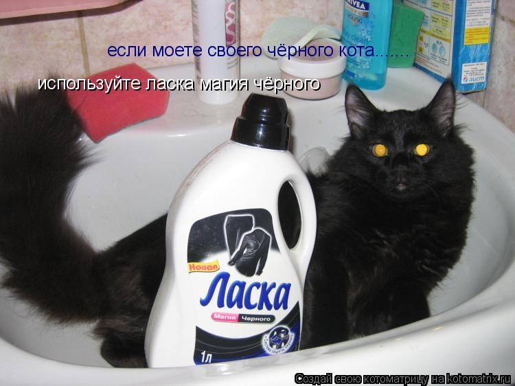 если моете своего чёрного кота....... используйте ласка магия чёрного... Котоматрица: если моете своего чёрного кота....... используйте ласка магия чёрного