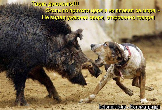 Твою дивизию!!! Сколь по прихоти царя я ни плавал за моря, - Не видал ужасней зверя, откровенно говор... Котоматрица: Твою дивизию!!! Сколь по прихоти царя я ни плавал за моря, - Не видал ужасней зверя, откровенно говоря!