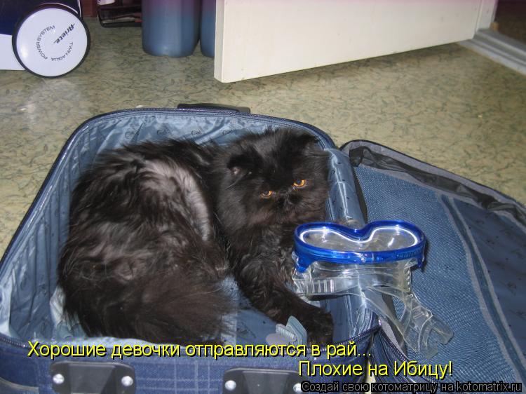 Плохие на Ибицу! Хорошие девочки отправляются в рай...... Котоматрица: Плохие на Ибицу! Хорошие девочки отправляются в рай...