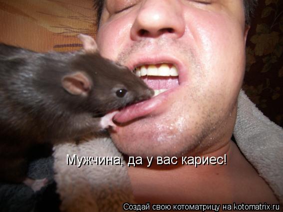 Мужчина, да у вас кариес!... Котоматрица: Мужчина, да у вас кариес!