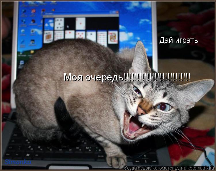 Дай играть Моя очередь!!!!!!!!!!!!!!!!!!!!!!!!!!... Котоматрица: Дай играть Моя очередь!!!!!!!!!!!!!!!!!!!!!!!!!!