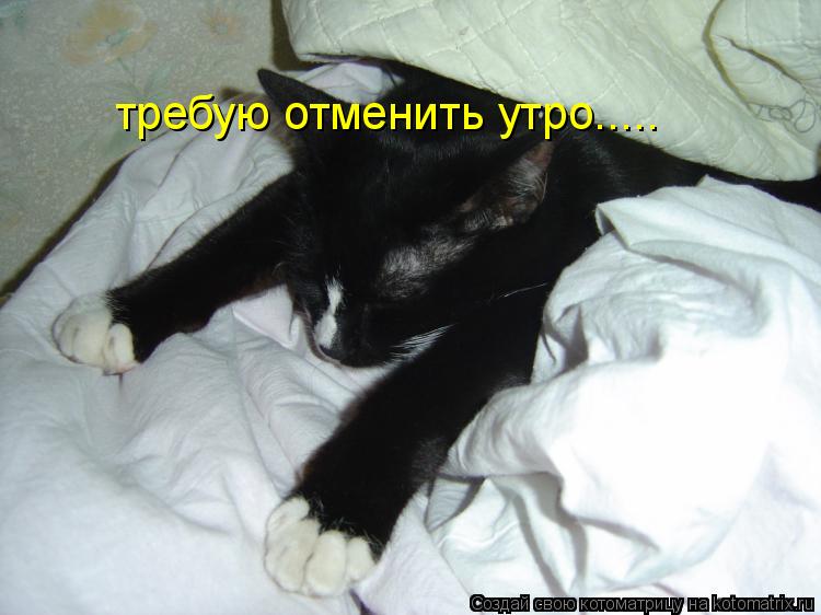 требую отменить утро........ Котоматрица: требую отменить утро.....