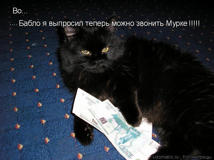 Во... Бабло я выпросил теперь можно звонить Мурке !!!!! ....... Котоматрица: Во... Бабло я выпросил теперь можно звонить Мурке !!!!! ....