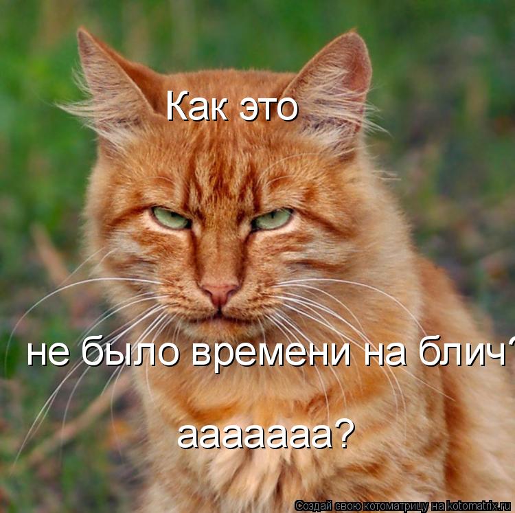 Как это не было времени на блич? ааааааа?... Котоматрица: Как это не было времени на блич? ааааааа?
