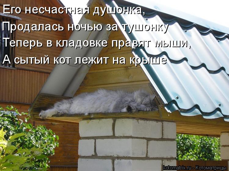 Его несчастная душонка, Продалась ночью за тушонку Теперь в кладовке правят мыши, А сытый кот лежит н... Котоматрица: Его несчастная душонка, Продалась ночью за тушонку Теперь в кладовке правят мыши, А сытый кот лежит на крыше