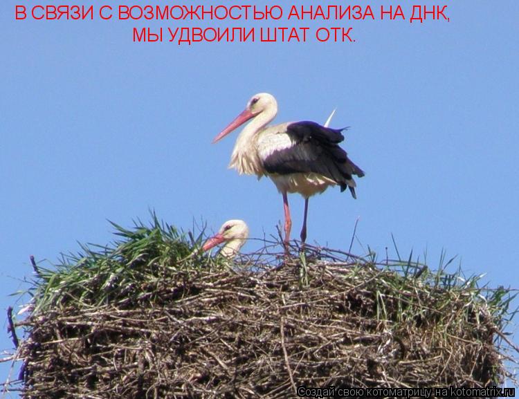 В СВЯЗИ С ВОЗМОЖНОСТЬЮ АНАЛИЗА НА ДНК, МЫ УДВОИЛИ ШТАТ ОТК.... Котоматрица: В СВЯЗИ С ВОЗМОЖНОСТЬЮ АНАЛИЗА НА ДНК, МЫ УДВОИЛИ ШТАТ ОТК.