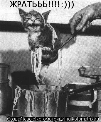 Котоматрица: ЖРАТЬЬЬ!!!!:)))