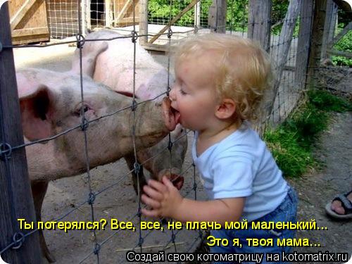 Ты потерялся? Все, все, не плачь мой маленький... Это я, твоя мама...... Котоматрица: Ты потерялся? Все, все, не плачь мой маленький... Это я, твоя мама...