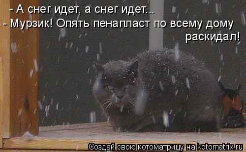 Котоматрица: - А снег идет, а снег идет... - Мурзик! Опять пенапласт по всему дому  раскидал!
