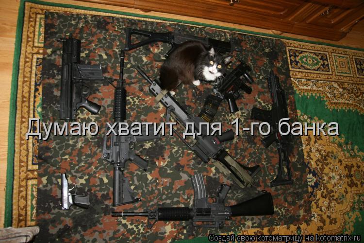 Думаю хватит для 1-го банка... Котоматрица: Думаю хватит для 1-го банка