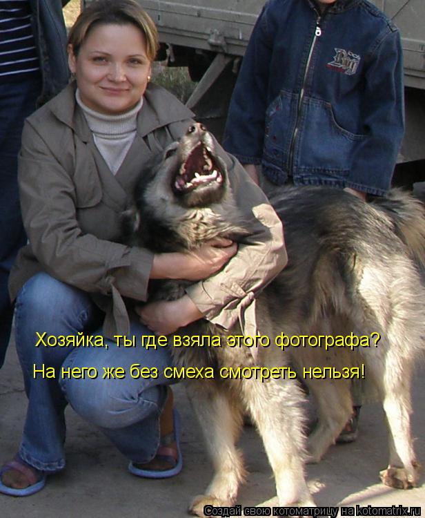 Хозяйка, ты где взяла этого фотографа? На него же без смеха смотреть нельзя!... Котоматрица: Хозяйка, ты где взяла этого фотографа? На него же без смеха смотреть нельзя!